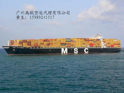 深圳往返唐山海运船运优势公司产品大图 广州禹航海运货运代理公司