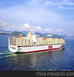 广州货代提供广州皮革制品的国际海运订舱和代理服务 海运公司